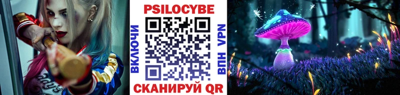как найти   Гагарин  Псилоцибиновые грибы Psilocybe 