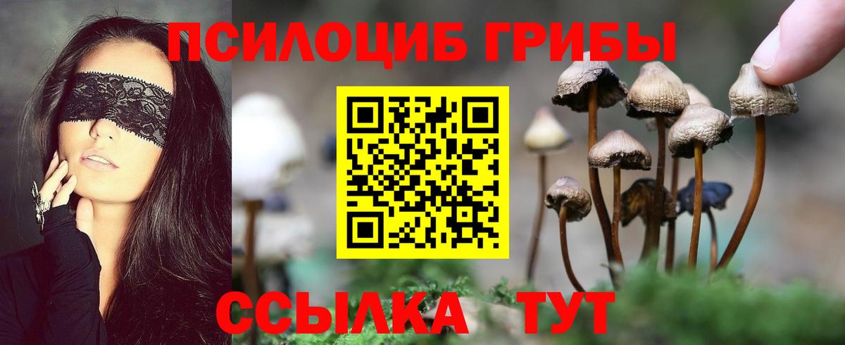 Галлюциногенные грибы Psilocybe Гагарин