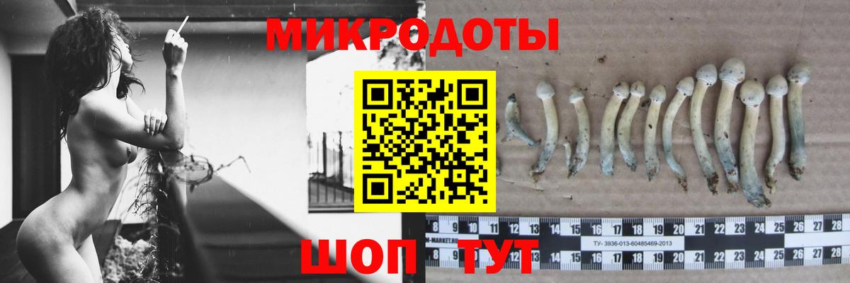 Гагарин  Галлюциногенные грибы Cubensis  Вход с VPN 
